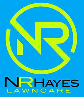 logo main